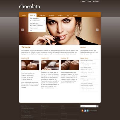 Screenshot of a webpage using a dark colored template.